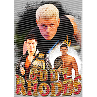 idol singer-GS  2406